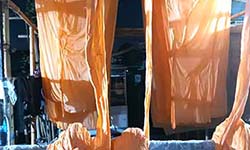 Dye color or celup